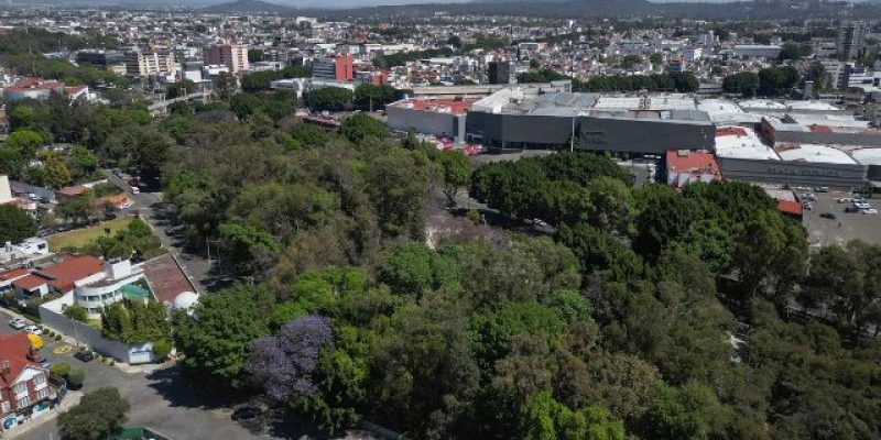 La Voz Del Pueblo