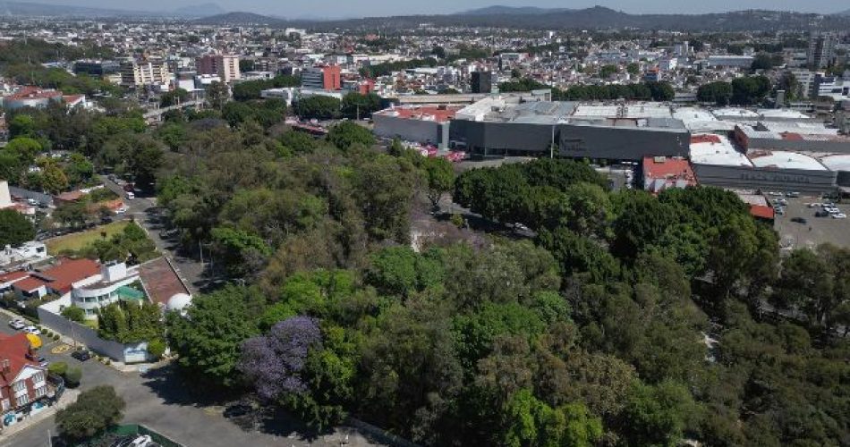 La Voz Del Pueblo