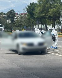 La Voz Del Pueblo